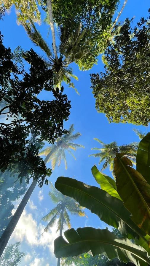 Tropical Sunday Bungalow - Surf And Stay Selong Belanak Luaran gambar